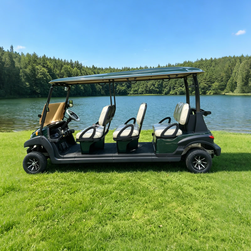 Carros Palos De Golf Electricos Nuevos Chinos Republica Dominicana Personalizados - EG206AK