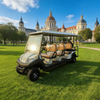 Ocho carros de golf eléctricos con buggy de 8 plazas para pasajeros a la venta - EG206AKSZ