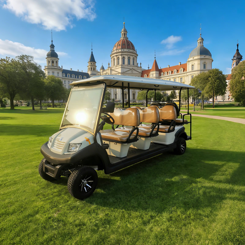 Ocho carros de golf eléctricos con buggy de 8 plazas para pasajeros a la venta - EG206AKSZ