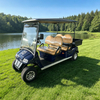 Carrito de golf de 4 plazas al por mayor con caja - EG2048H