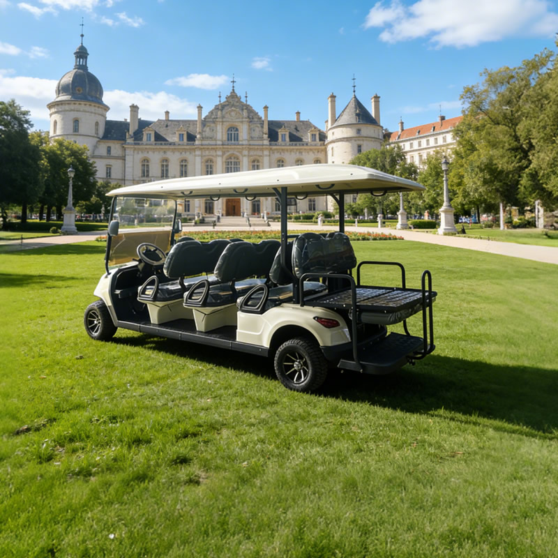 Fabricante mayorista de carritos de golf eléctricos de 8 plazas - EG206EKSZ