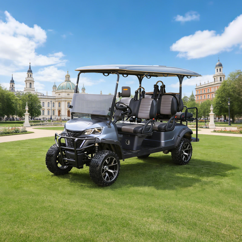 Carros de golf personalizados con batería de litio de 48 V y seis plazas al por mayor - EG204DKSZ