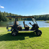 Carro de golf utilitario todoterreno y de 4+2 plazas al por mayor - EG2040ASZ