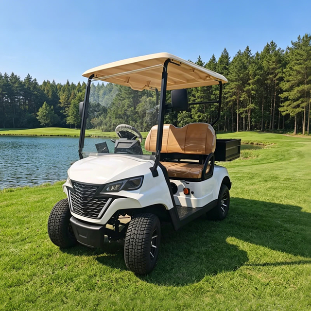 Mini carritos de golf eléctricos con plataforma volcadora de carga - EG202EH