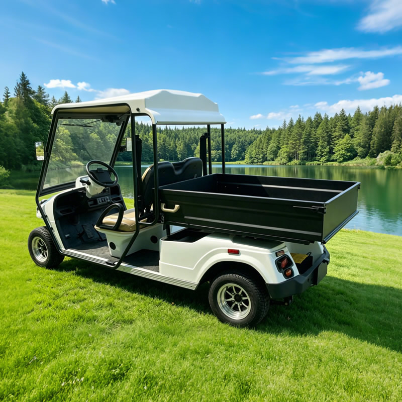Carros de golf de carga legales de calle eléctricos personalizados con caja - EG2048HCXR