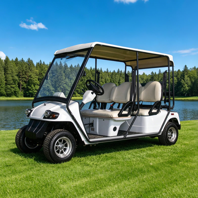 Carro de golf eléctrico legal para calles personalizado - EG2048KR