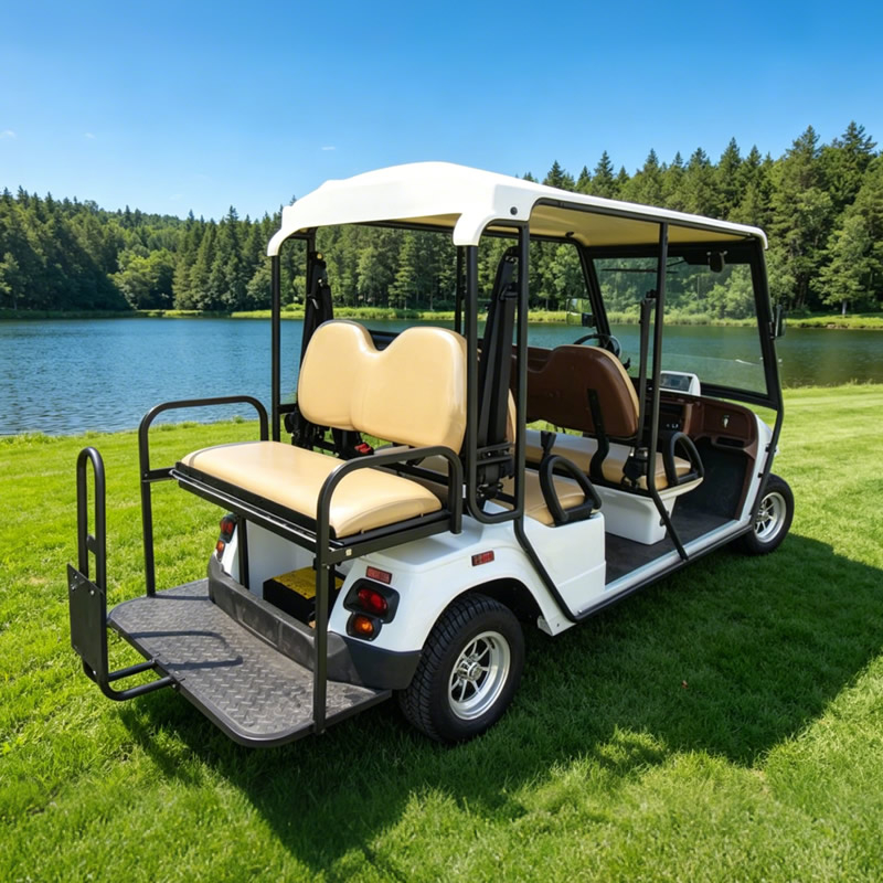 Fabricante mayorista de carritos de golf eléctricos todoterreno - EG2020ASZR