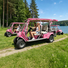 Coche turístico eléctrico rosa de lujo de 6 plazas para parques temáticos - EG2040ASZ