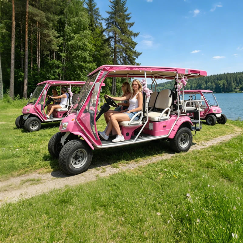 Coche turístico eléctrico rosa de lujo de 6 plazas para parques temáticos - EG2040ASZ