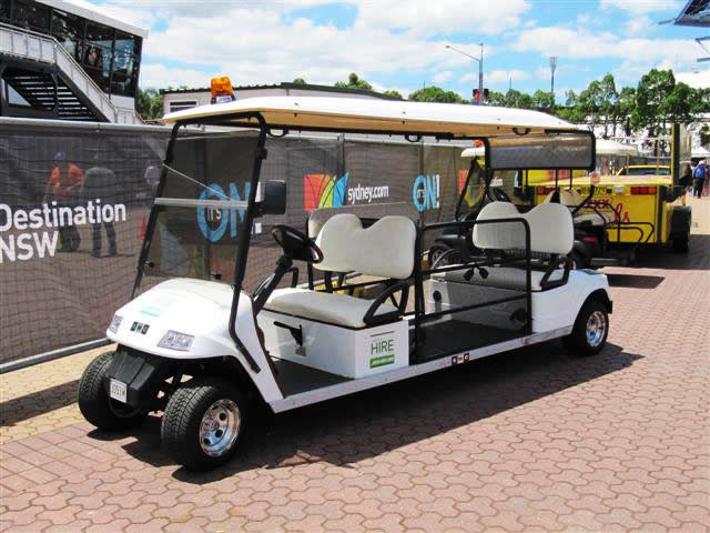 carrito de golf para discapacitados 