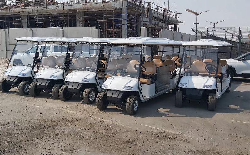 Carros de golf el&eacute;ctricos