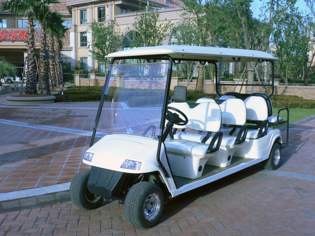 Carro de golf Eagle Electric Sightseeing