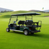 Carro de golf eléctrico personalizado chino de 6 plazas con batería de litio de 48 V OEM ODM - EG2048KSZ