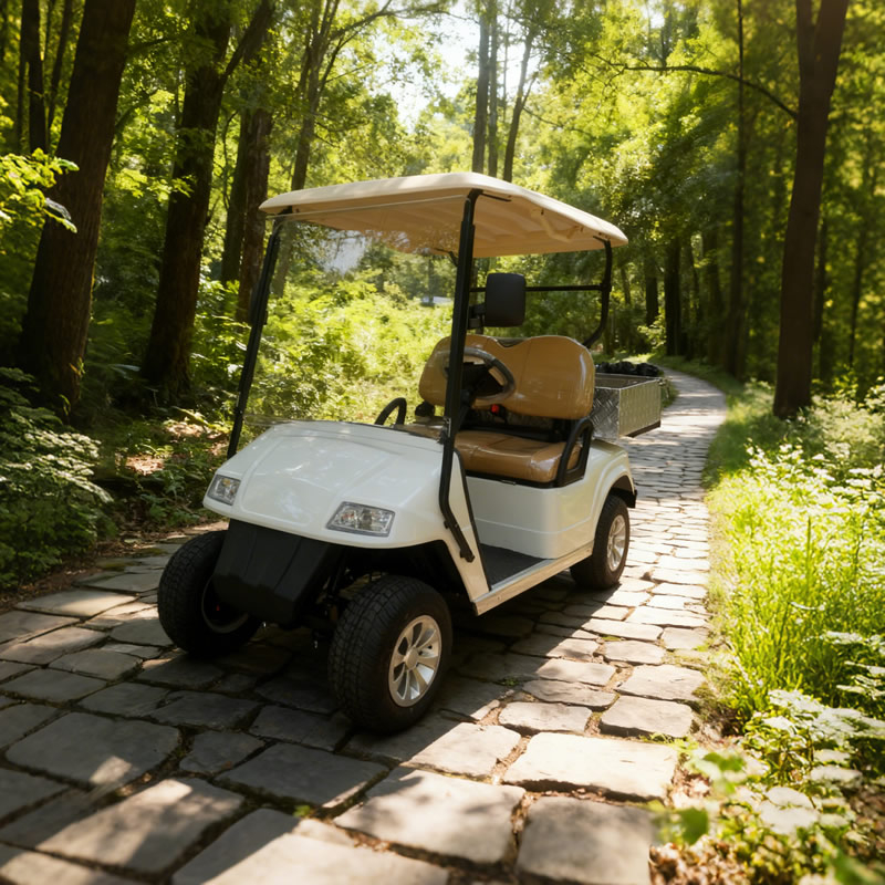 Carro de golf con caja de carga de aluminio - EG2028H