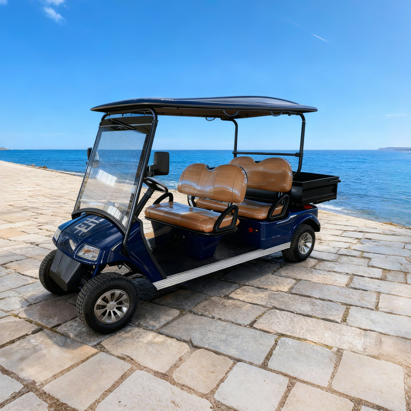 Carrito de golf de 4 plazas al por mayor con caja - EG2048H