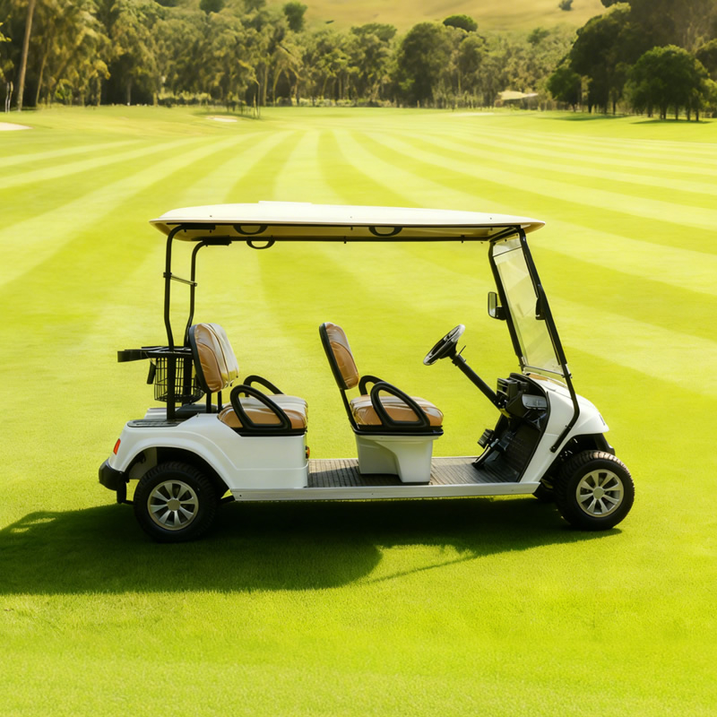 Carro de golf eléctrico con batería de litio de alta calidad personalizado a la venta - EG2048K