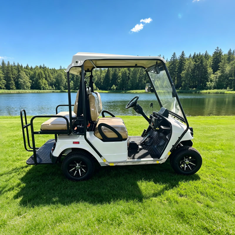 Carro de golf premium de 4 plazas - Suministro directo de fábrica - EG2028KSZR