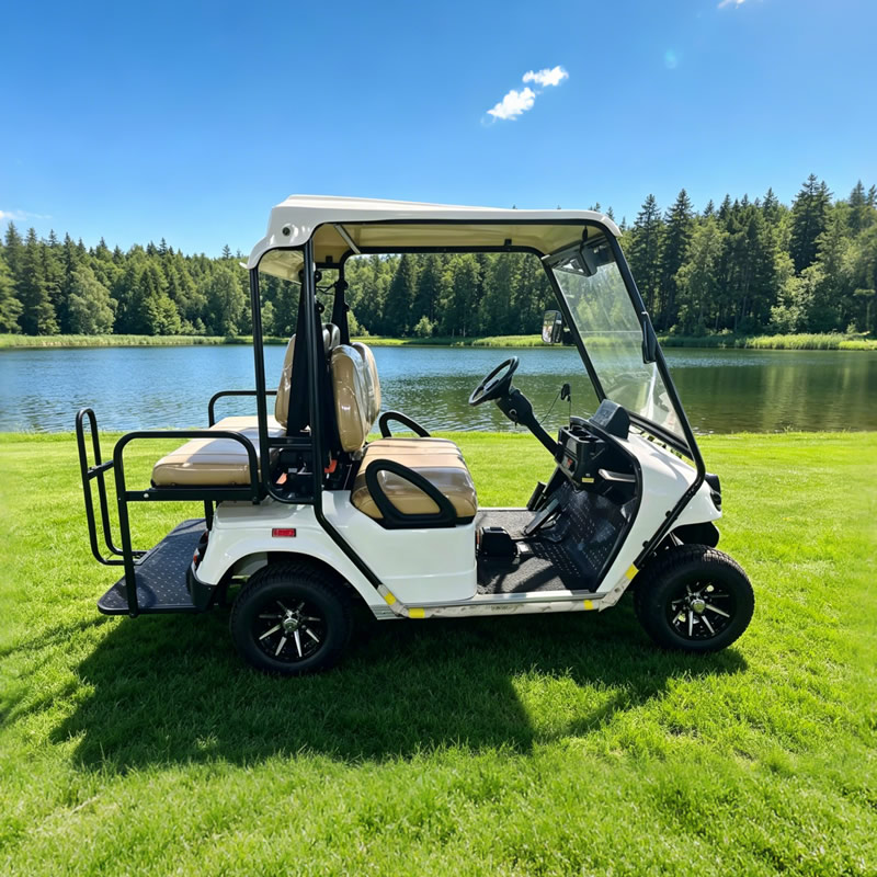 Carro de golf premium de 4 plazas - Suministro directo de fábrica - EG2028KSZR