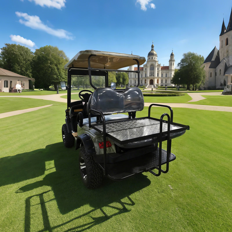 Buggy eléctrico todoterreno personalizado para vehículo utilitario de 4 plazas - EG2020ASZ