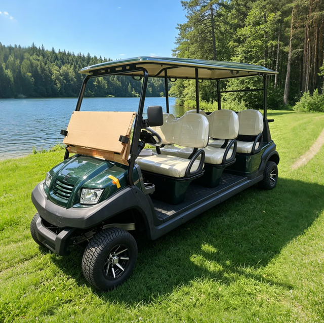Carros Palos De Golf Electricos Nuevos Chinos Republica Dominicana Personalizados - EG206AK