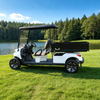 Buggy para carritos de golf utilitarios con caja de carga - EG204EHCX