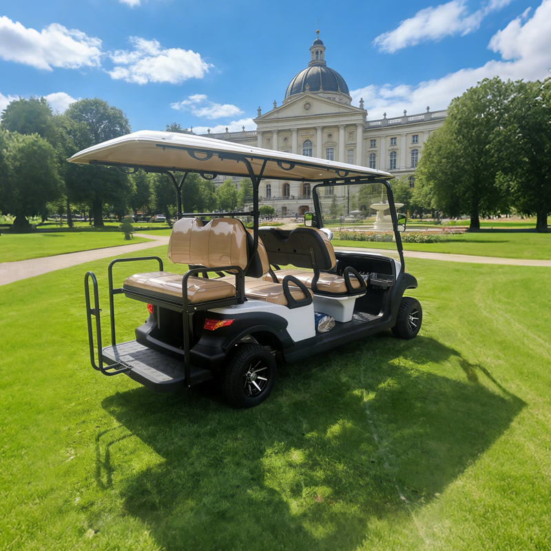 Buggy de golf eléctrico personalizado al por mayor para resorts y hoteles - EG204AKSZ