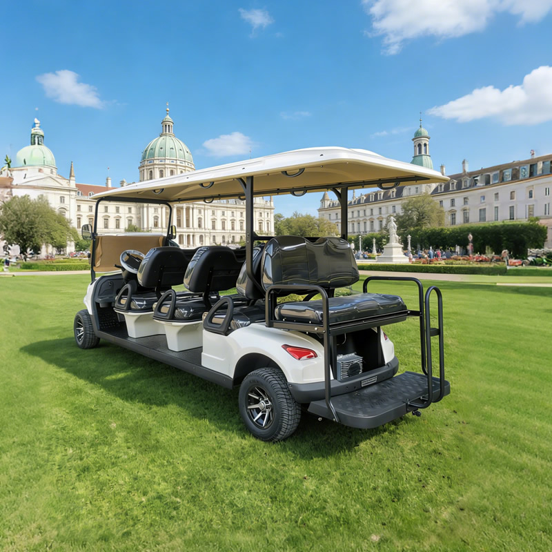Fabricante mayorista de carritos de golf eléctricos de 8 plazas - EG206EKSZ