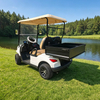 Mini carritos de golf eléctricos con plataforma volcadora de carga - EG202EH