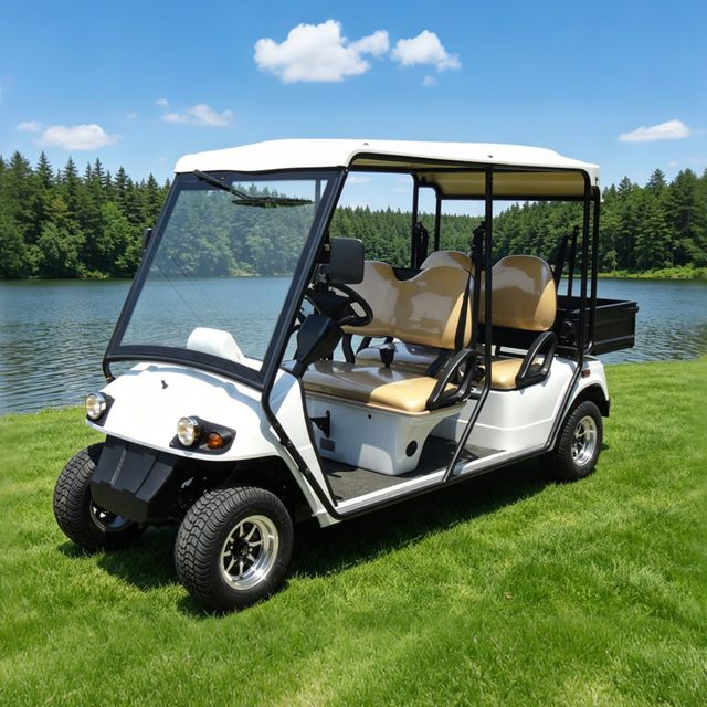 Mini camión de carga eléctrico Street Legal, carrito de golf Lsv con caja - EG2048HR