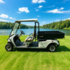 Carros de golf de carga legales de calle eléctricos personalizados con caja - EG2048HCXR
