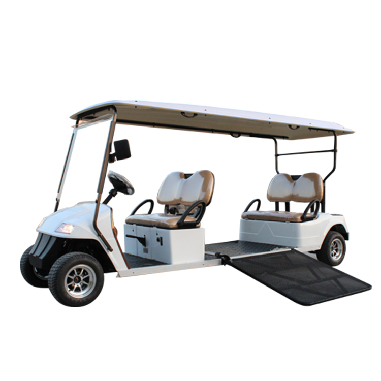 Carro de golf para discapacitados 