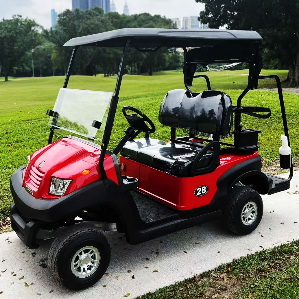 Mini carrito de golf personalizado de 2 asientos 