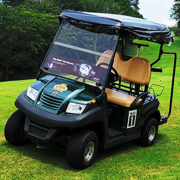 Mini carrito de golf personalizado de 2 asientos