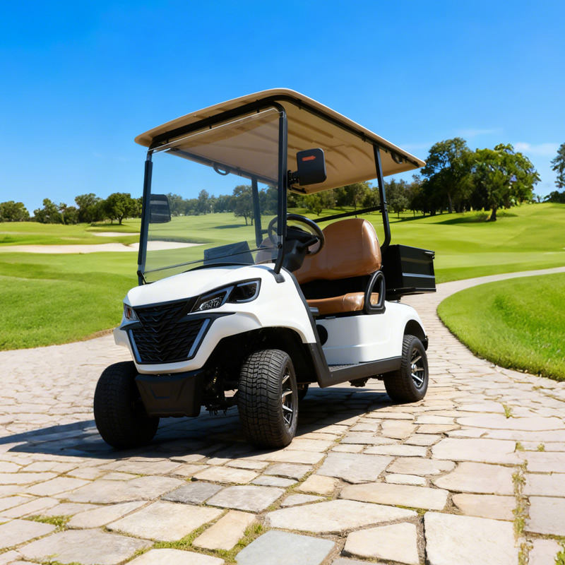 Mini carritos de golf eléctricos con plataforma volcadora de carga - EG202EH