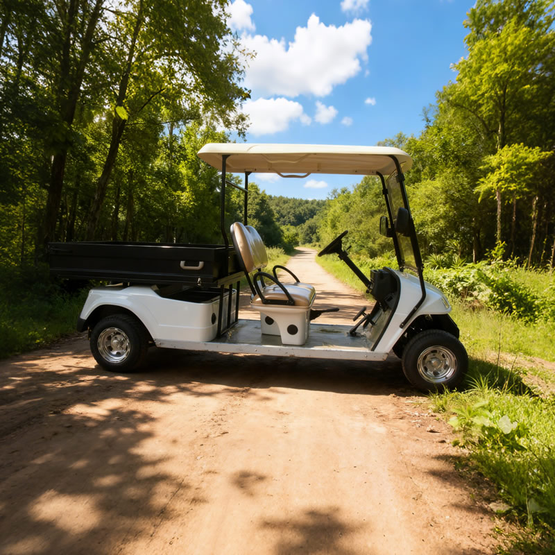 Carro de golf para camión de carga utilitario con caja - EG2048HCX