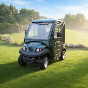 Scooter de movilidad eléctrico cerrado de 4 ruedas, mini automóvil eléctrico para adultos, fabricación en China - EG202AKR