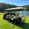 Ocho carros de golf eléctricos con buggy de 8 plazas para pasajeros a la venta - EG206AKSZ