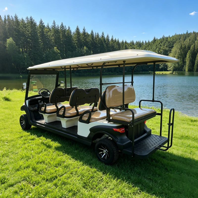 Ocho carros de golf eléctricos con buggy de 8 plazas para pasajeros a la venta - EG206AKSZ
