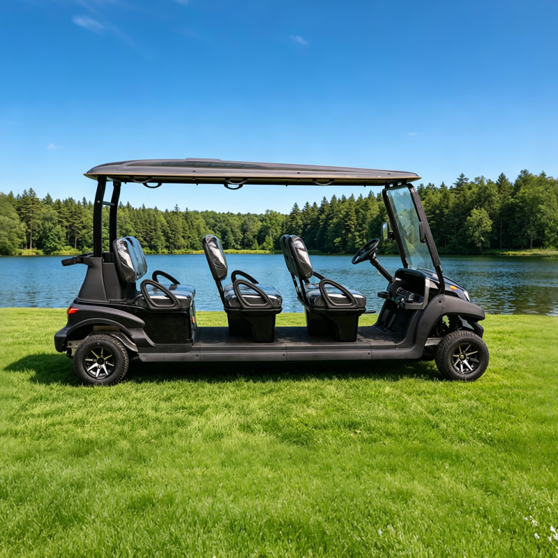 Principales fabricantes y proveedores de precios de carritos de golf de 6 plazas: EG206AK