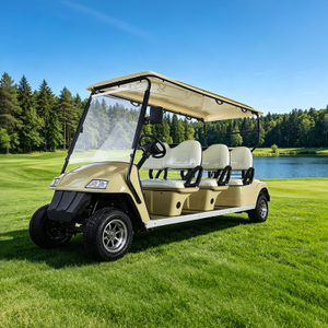 Vehículo personalizado, autobús turístico, coche, 6 pasajeros, carrito de golf eléctrico con asiento para persona - EG2068K