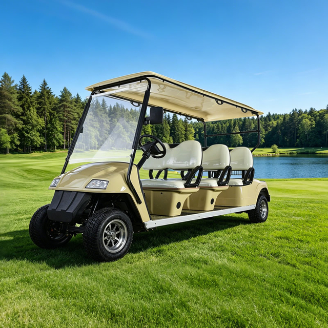 Vehículo personalizado, autobús turístico, coche, 6 pasajeros, carrito de golf eléctrico con asiento para persona - EG2068K