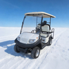 Carros de golf utilitarios de 48 V, 2 + 2 y 4 plazas - EG202ASKZ