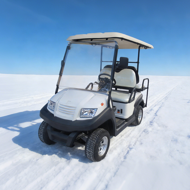 Carros de golf utilitarios de 48 V, 2 + 2 y 4 plazas - EG202ASKZ