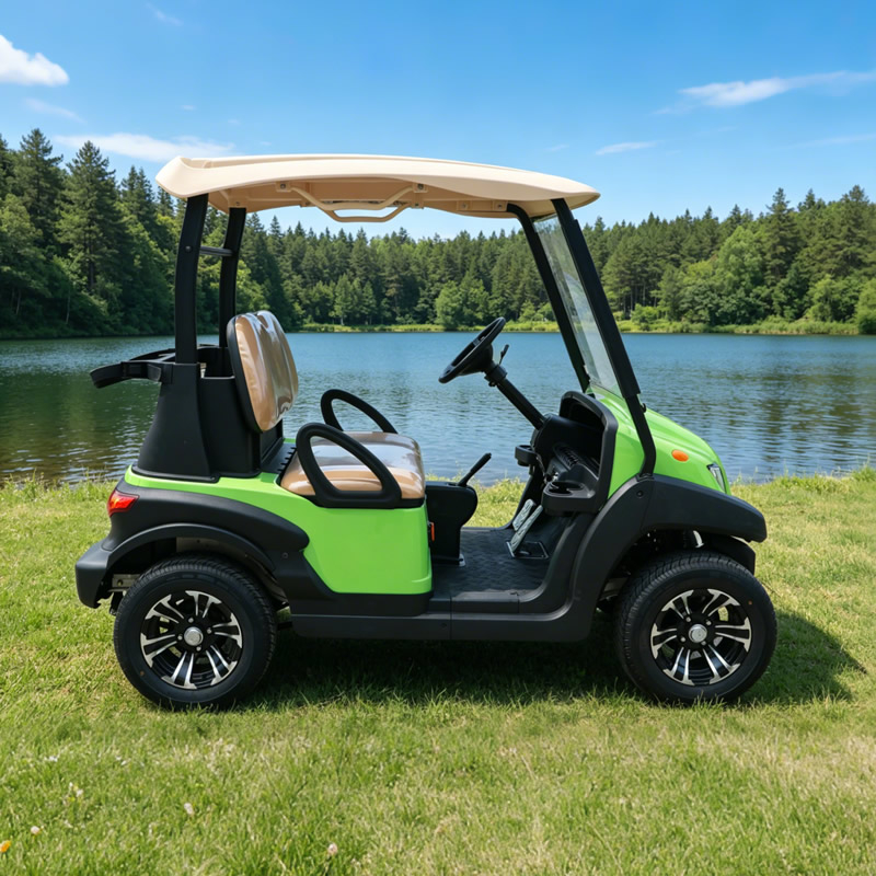 Mini carrito de golf con batería eléctrica de 2 plazas de alta calidad - EG202AK