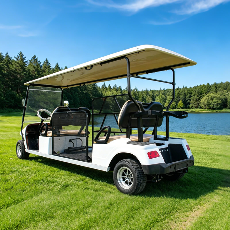 Carro de golf eléctrico para discapacitados accesible en silla de ruedas/carro turístico con rampa para silla de ruedas - EG2068T