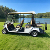 Fabricante mayorista de carritos de golf eléctricos todoterreno - EG2020ASZR