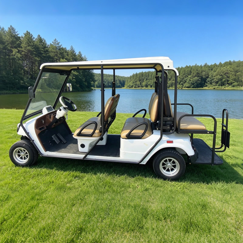 Fabricante mayorista de carritos de golf eléctricos todoterreno - EG2020ASZR