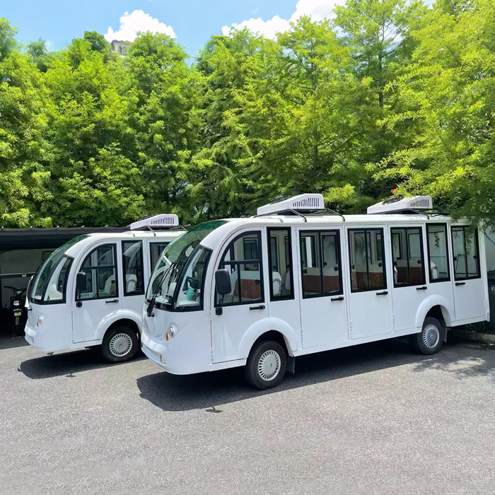 autob&uacute;s tur&iacute;stico coche