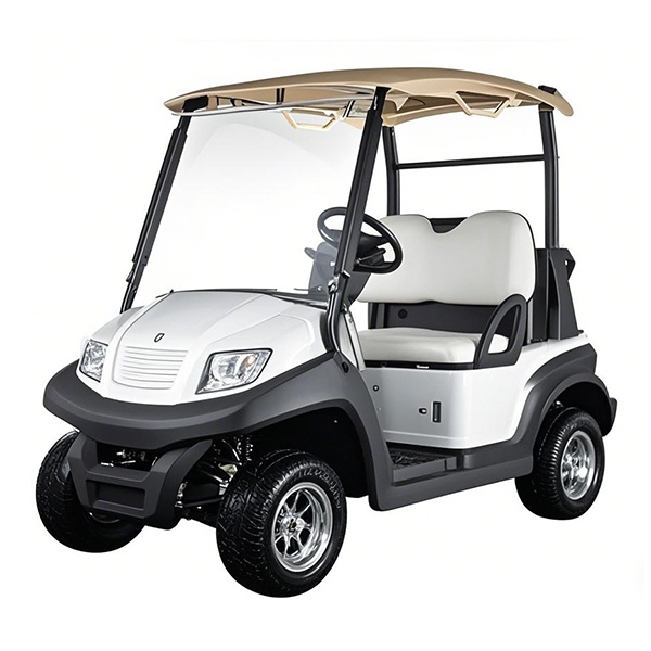 Carro de golf eléctrico