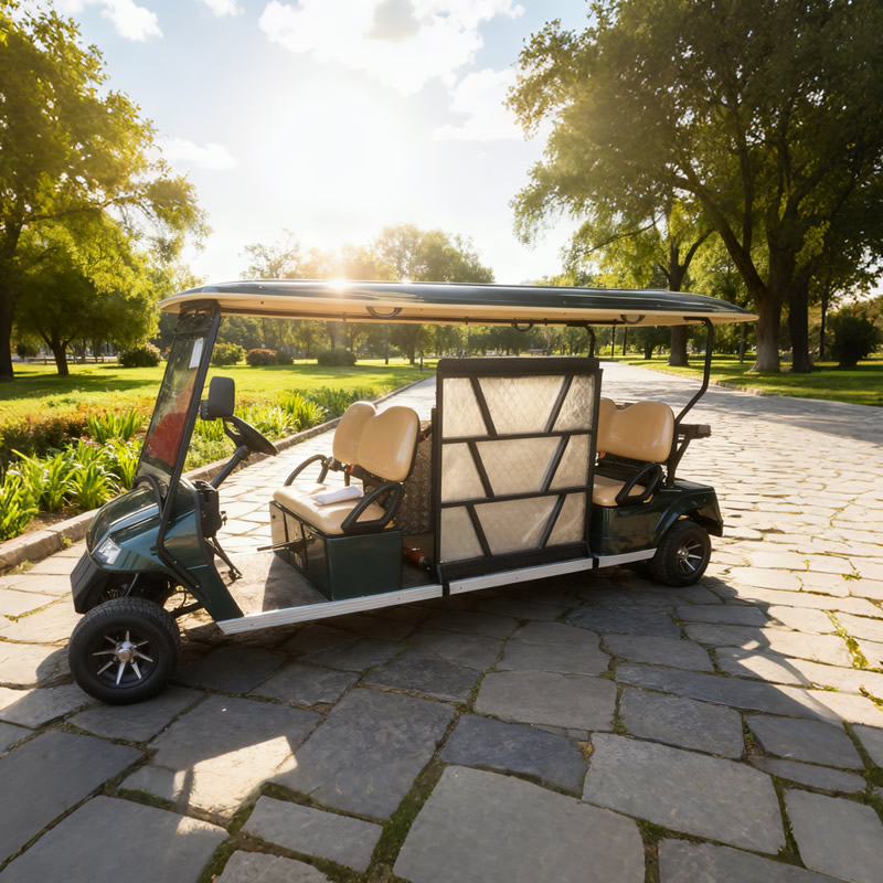 Fabricante personalizado al por mayor de carritos de golf para discapacitados - EG2068T